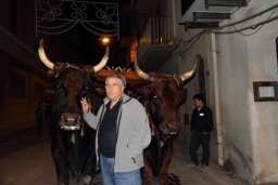 Calatafimi - Segesta501.JPG